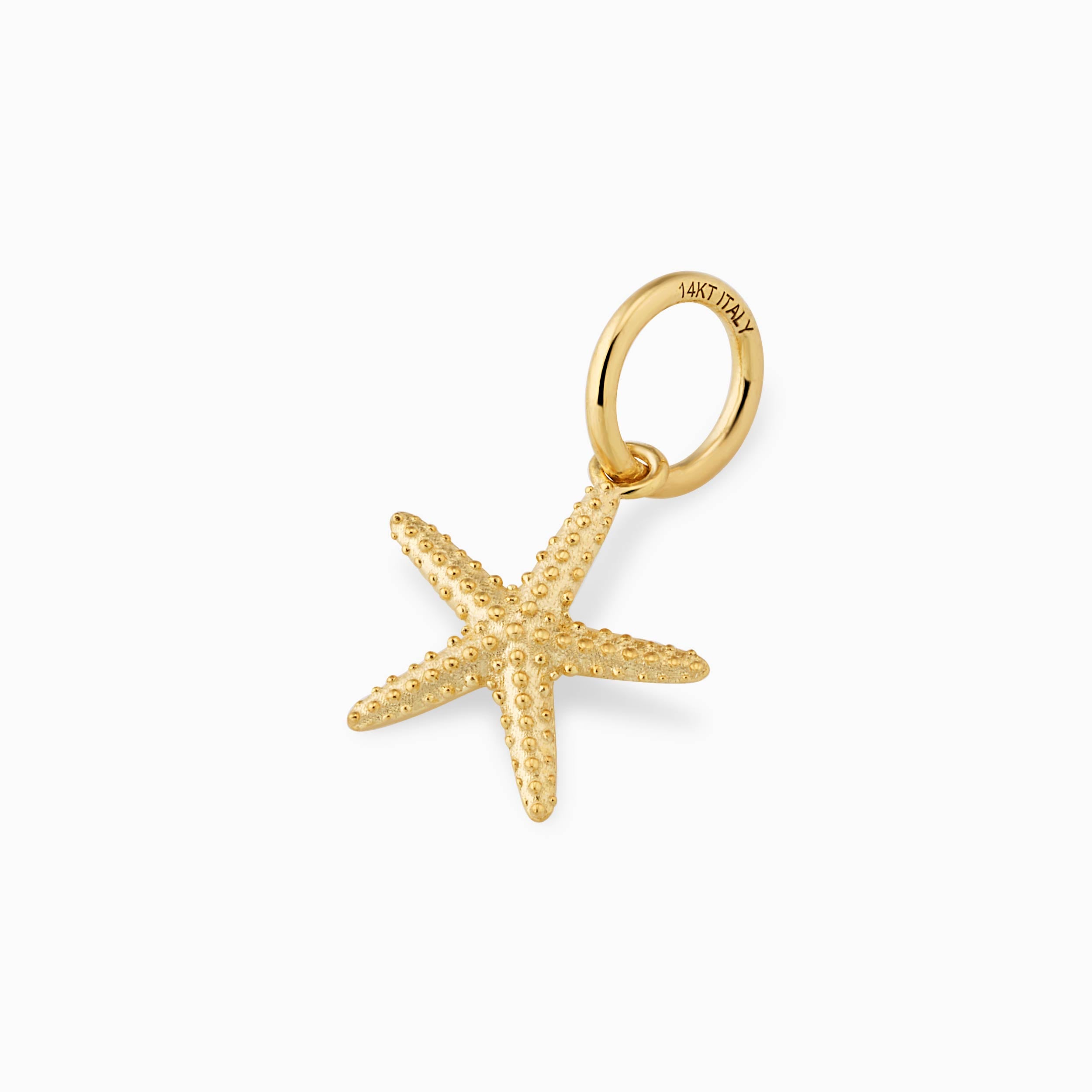 Starfish Pendant Charm