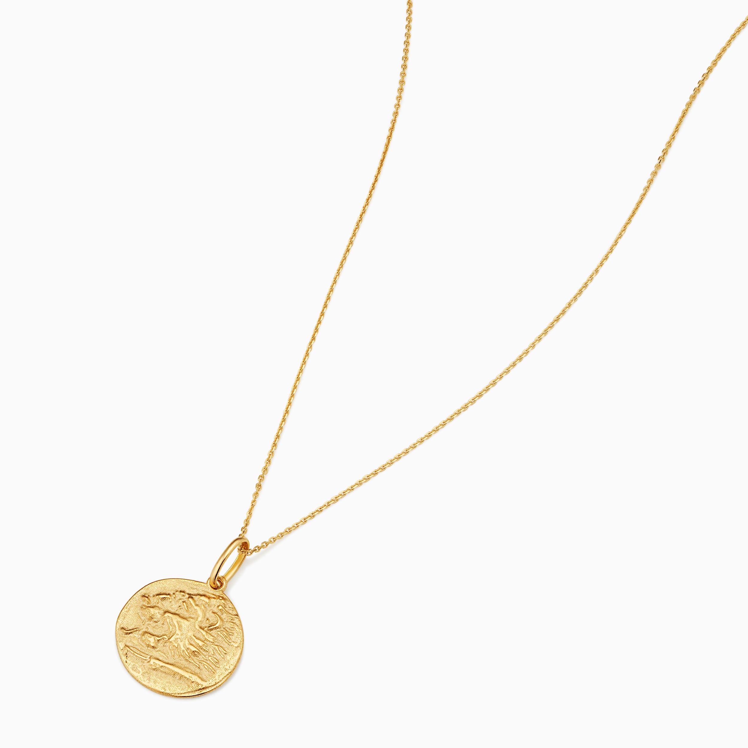 Greek Lion Medallion Necklace