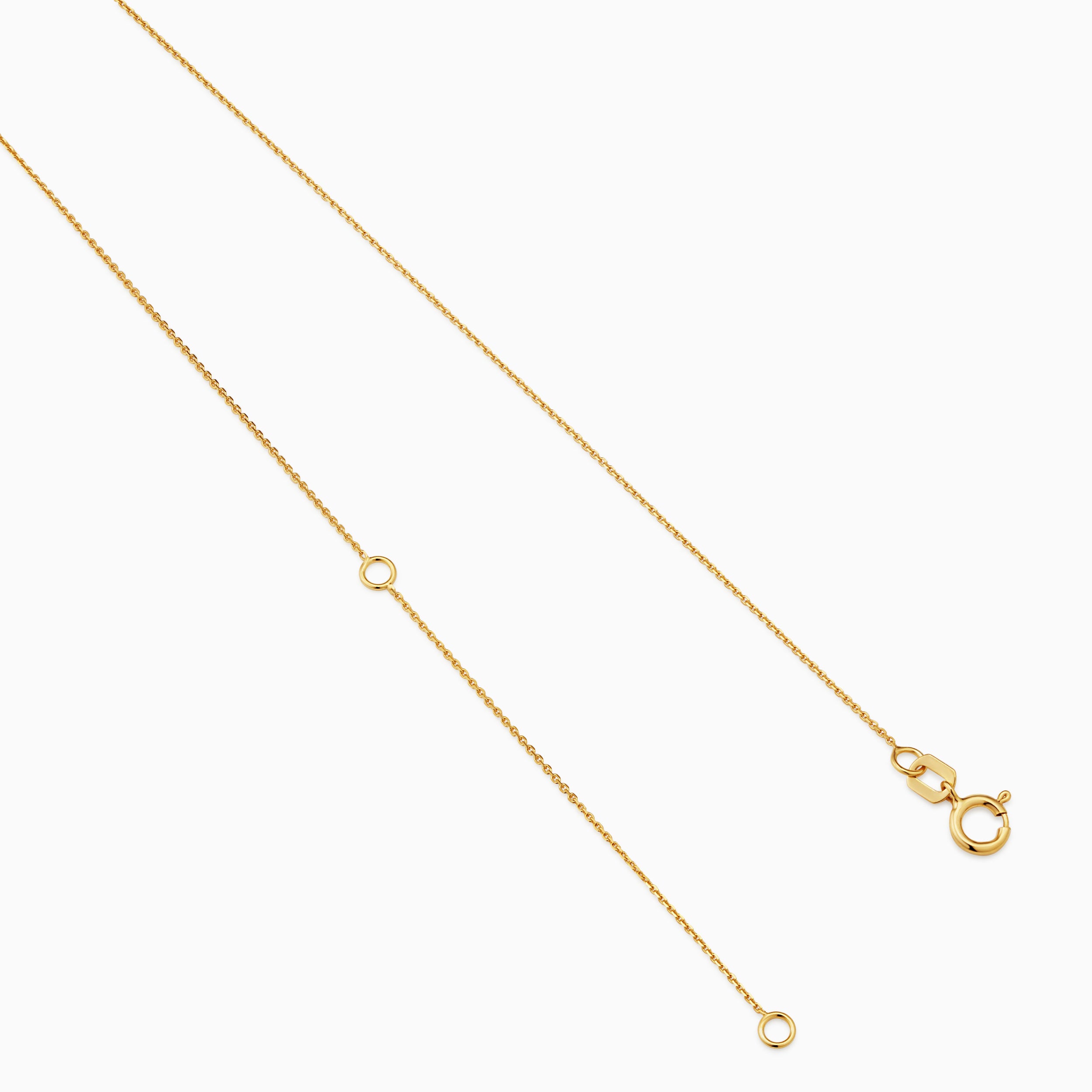 Greek Lion Medallion Necklace