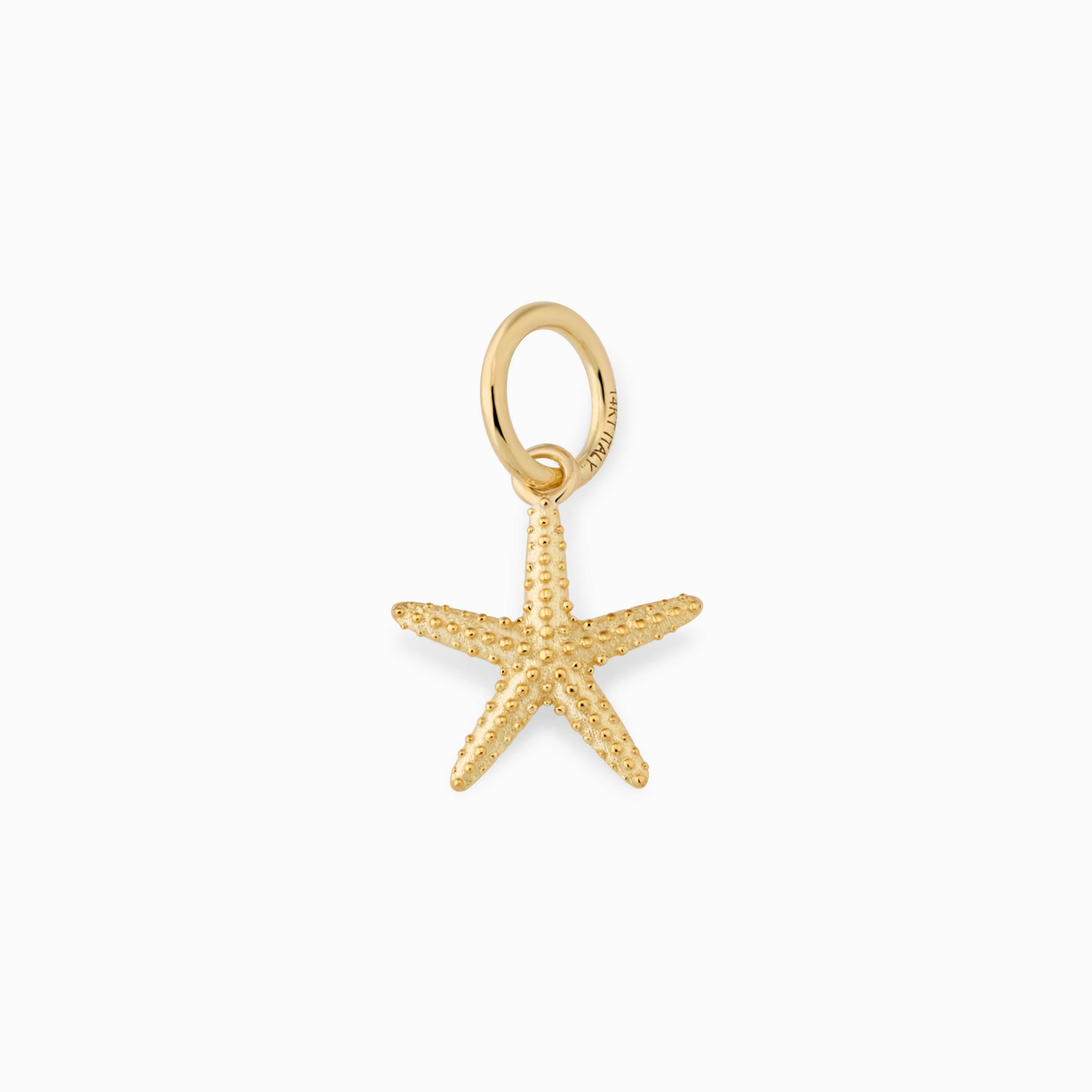 Starfish Pendant Charm