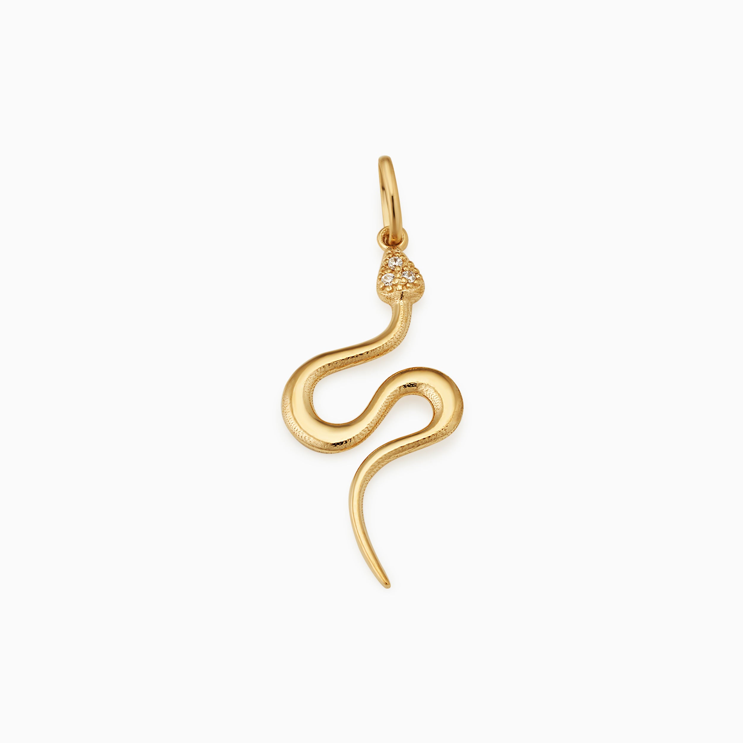 Snake Charmer Pendant Charm