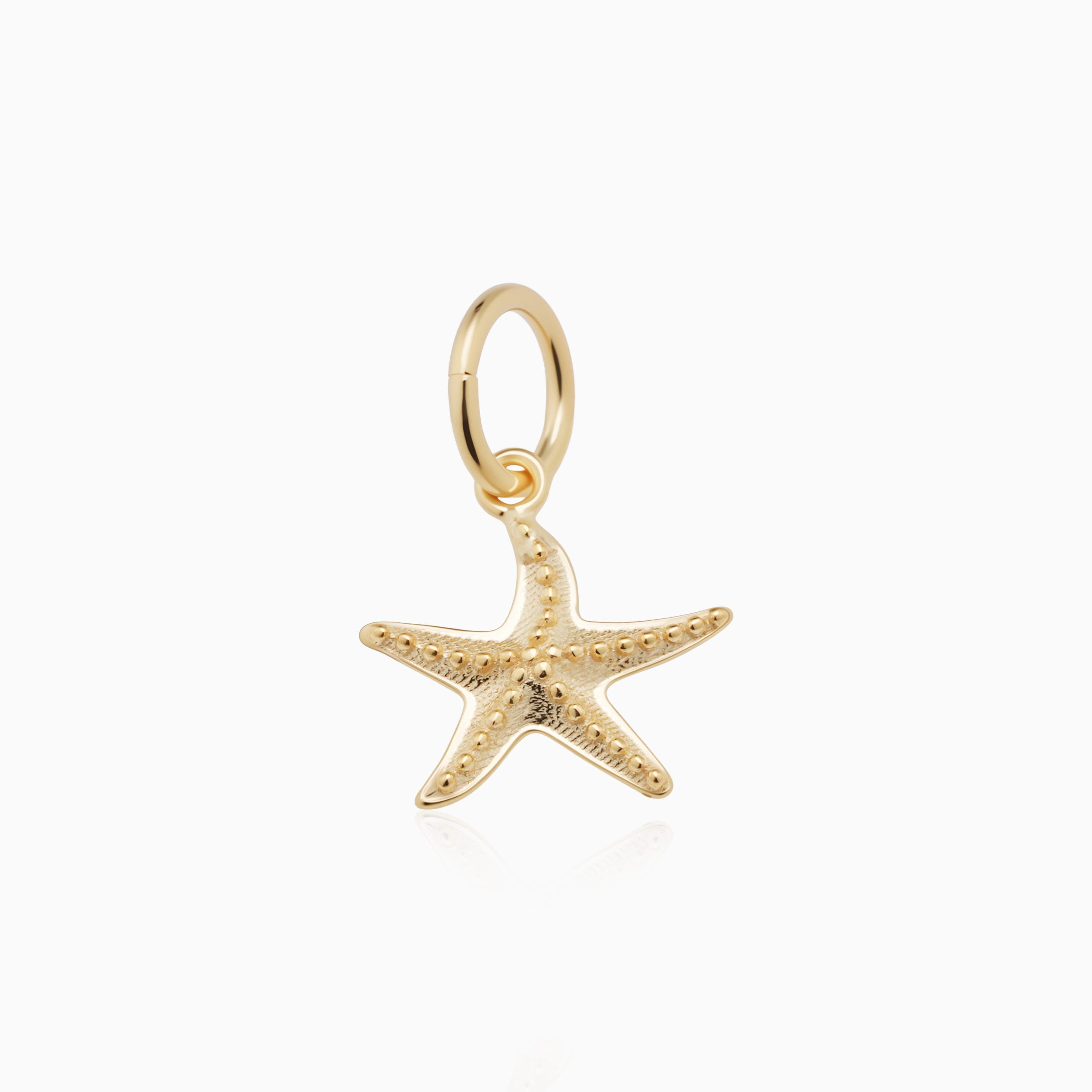 Stella Marina Pendant Charm