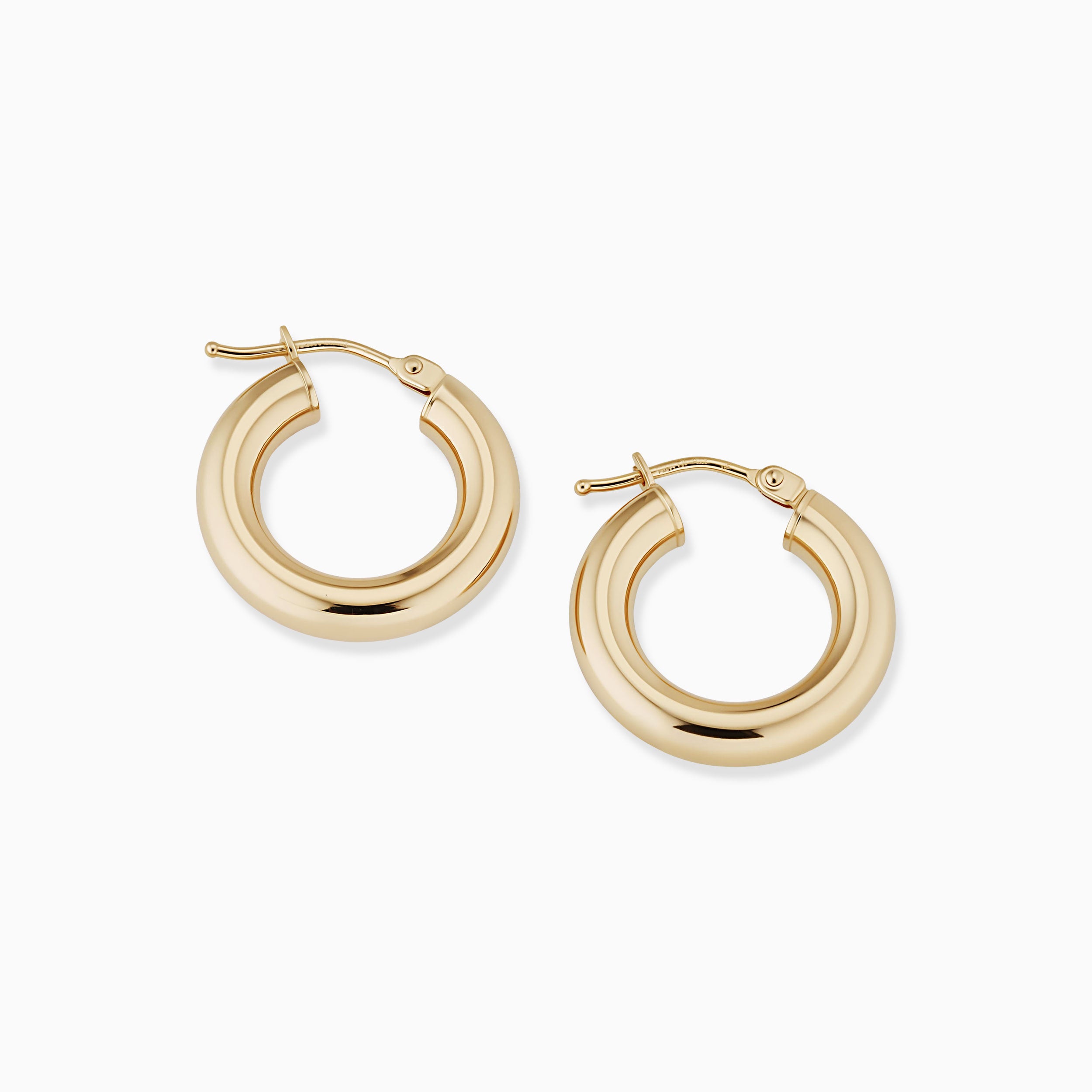 Everything Bold Mini Hoops