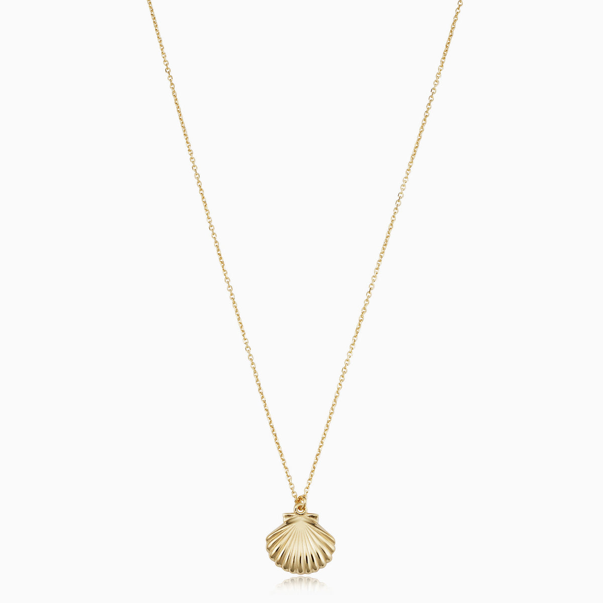 Seashell Pendant Necklace