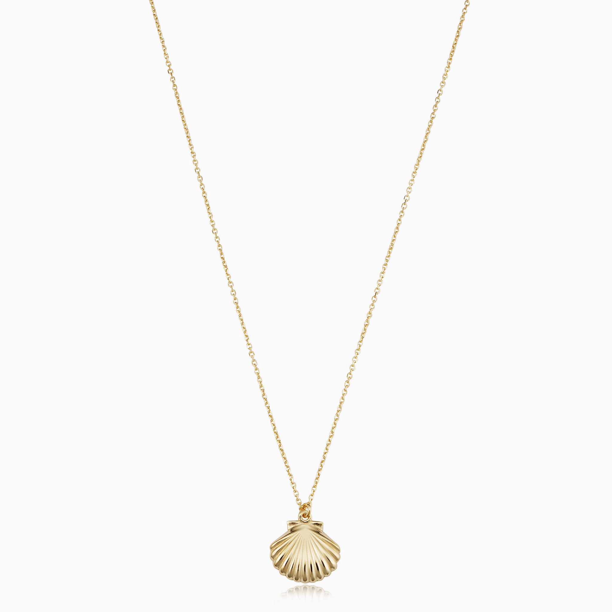 Scallop Shell Antique Gold Brass Necklace with Swarovski Crystal | Elaine  Coyne Jewelry