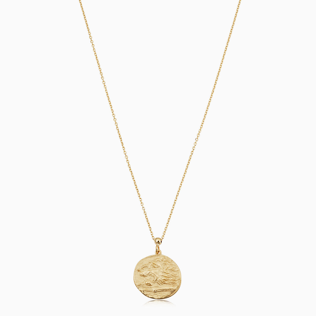Greek Lion Medallion Necklace – Oradina